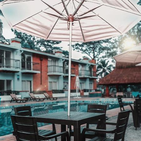 Hotel Y Restaurante Meson Del Gitano Caucasia Zewnętrze zdjęcie